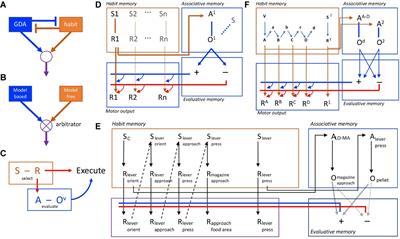 Hierarchical Action Control: Adaptive Collaboration Between Actions and Habits